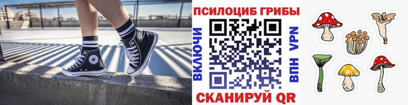 kraken ССЫЛКА  Калач-на-Дону  Галлюциногенные грибы мицелий 
